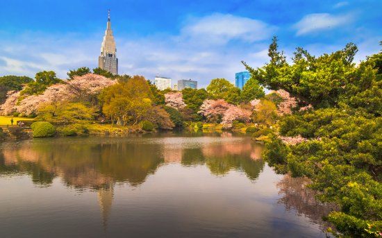 Shinjuku Gyoen National Garden